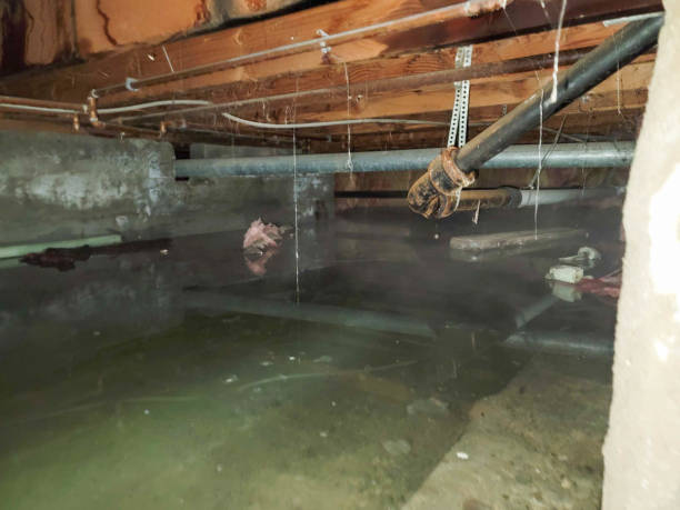 Best Water damage cleanup near me  in Woodall, OK