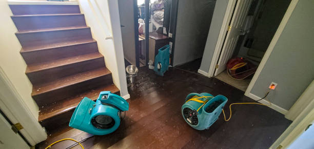 Best Professional water damage repair  in Woodall, OK