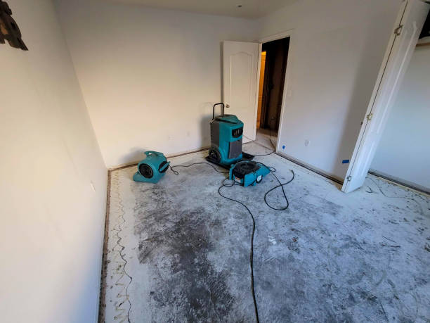 Best 24-hour water damage restoration  in Woodall, OK