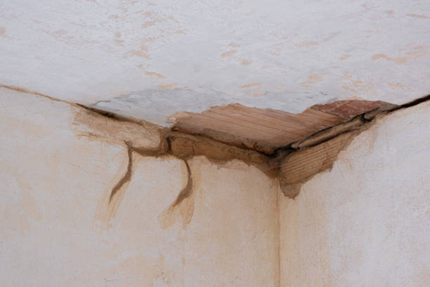 Best 24/7 water damage repair  in Woodall, OK