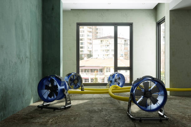 Best Local water damage restoration  in Woodall, OK