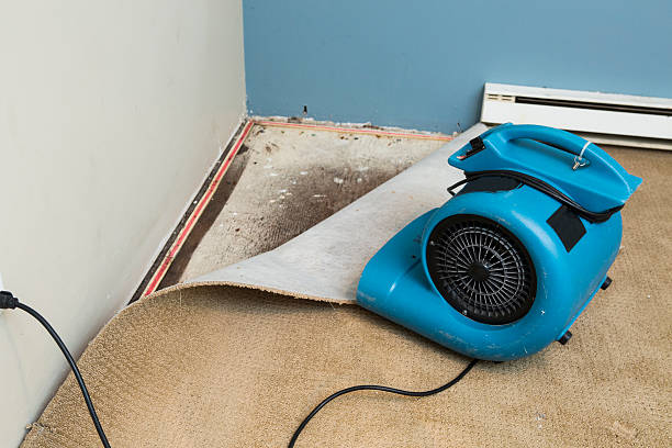Best Mold removal after water damage  in Woodall, OK